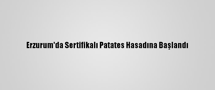 Erzurum'da Sertifikalı Patates Hasadına Başlandı