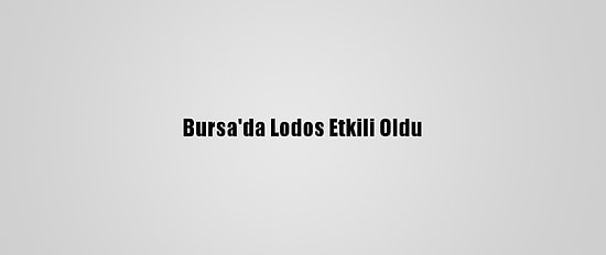 Bursa'da Lodos Etkili Oldu