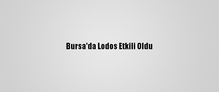 Bursa'da Lodos Etkili Oldu