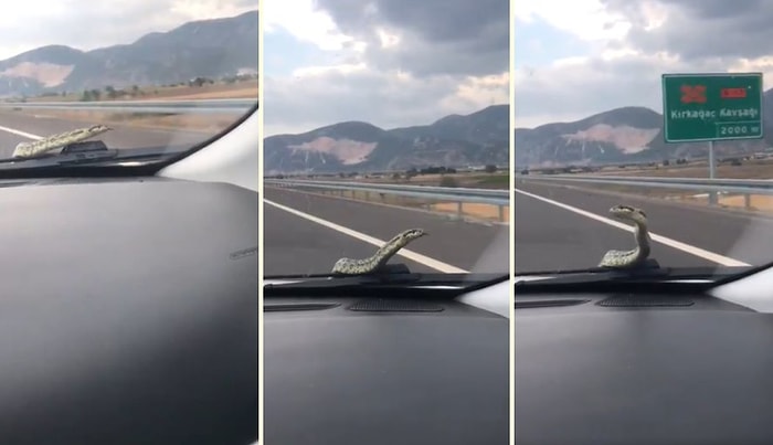Dünyanın En İnatçı Yılanı: Ne İtfaiye Ne de Teknik Servis Yılanı Bulamıyor Ancak Araç Yola Çıktığında Yılan Camın Önüne Geliyor