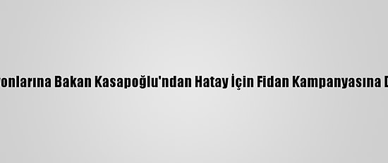 Spor Federasyonlarına Bakan Kasapoğlu'ndan Hatay İçin Fidan Kampanyasına Destek Çağrısı