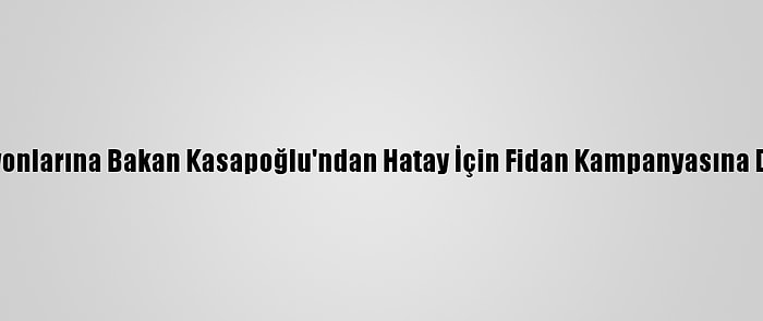 Spor Federasyonlarına Bakan Kasapoğlu'ndan Hatay İçin Fidan Kampanyasına Destek Çağrısı