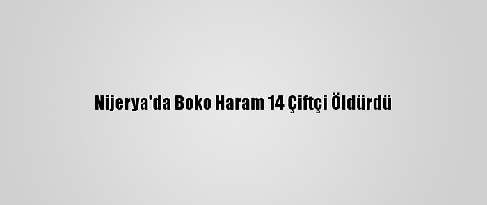 Nijerya'da Boko Haram 14 Çiftçi Öldürdü