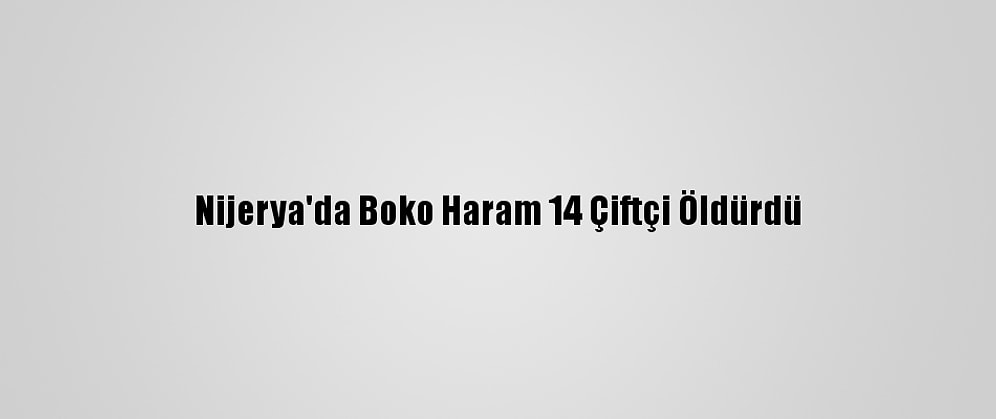Nijerya'da Boko Haram 14 Çiftçi Öldürdü