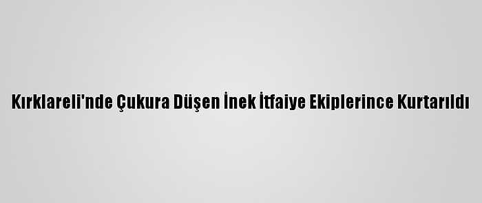 Kırklareli'nde Çukura Düşen İnek İtfaiye Ekiplerince Kurtarıldı