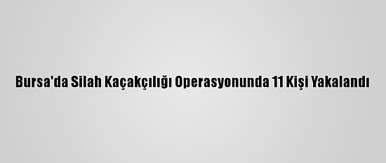 Bursa'da Silah Kaçakçılığı Operasyonunda 11 Kişi Yakalandı