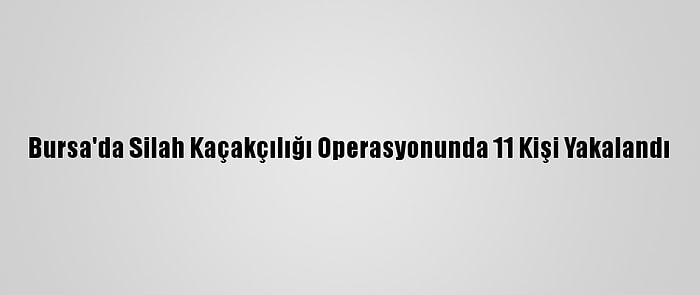 Bursa'da Silah Kaçakçılığı Operasyonunda 11 Kişi Yakalandı