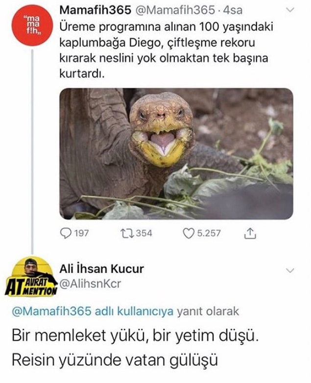 1. Omuzlarında koca yük.