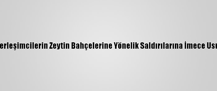 Filistinliler, Yahudi Yerleşimcilerin Zeytin Bahçelerine Yönelik Saldırılarına İmece Usulüyle Karşı Koyuyor