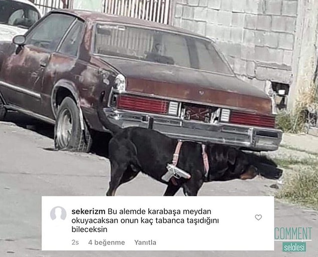 15. Bu hayatın heyecanı meyecanı yok.