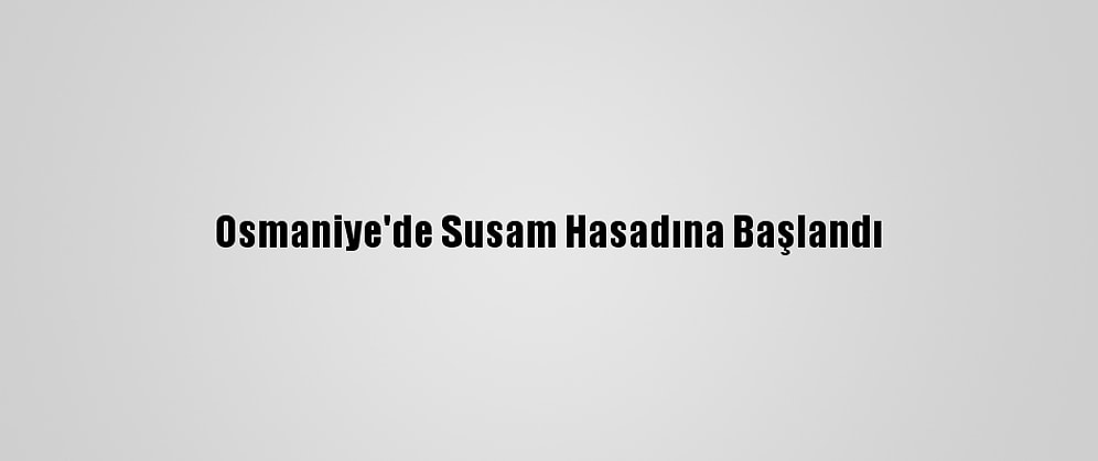 Osmaniye'de Susam Hasadına Başlandı