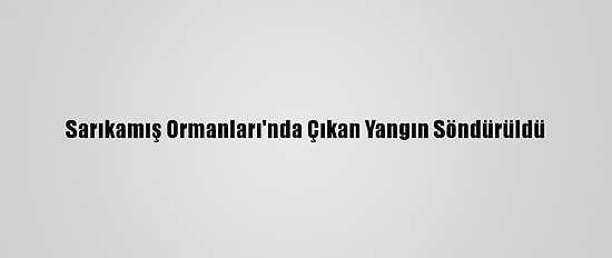 Sarıkamış Ormanları'nda Çıkan Yangın Söndürüldü
