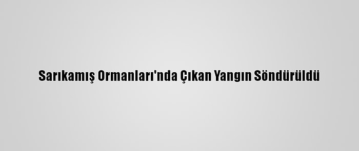 Sarıkamış Ormanları'nda Çıkan Yangın Söndürüldü