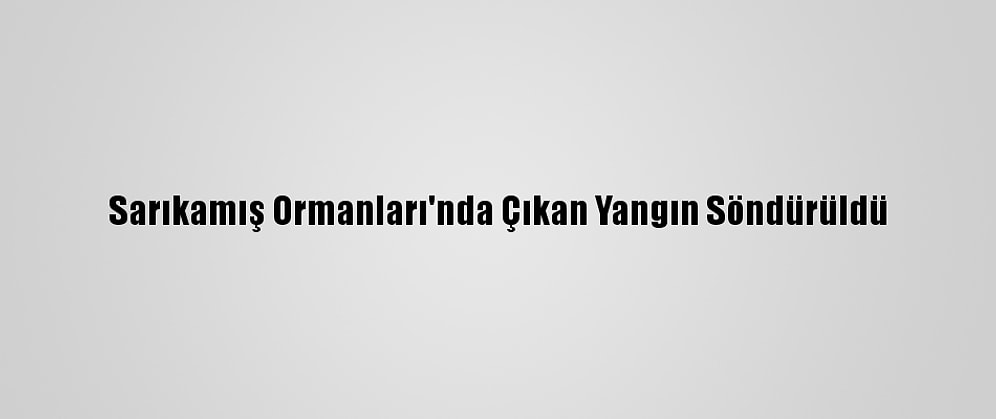 Sarıkamış Ormanları'nda Çıkan Yangın Söndürüldü