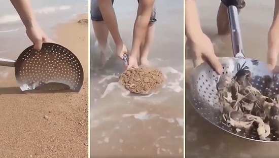 Deniz, Kum, Güneş Keyfi Yaparken Bastığınız Kumun Altında Kaç Yengeç Olduğunu Biliyor musunuz?