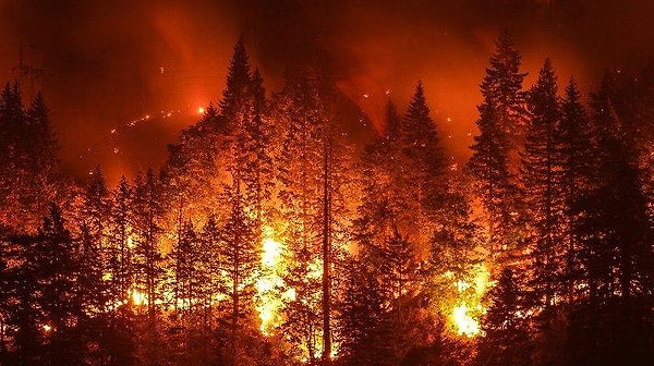 1-14 Ekim 2020 tarihleri arasında 192 orman yangını çıktı