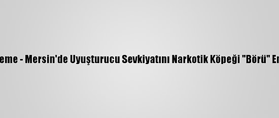 Güncelleme - Mersin'de Uyuşturucu Sevkiyatını Narkotik Köpeği "Börü" Engelledi