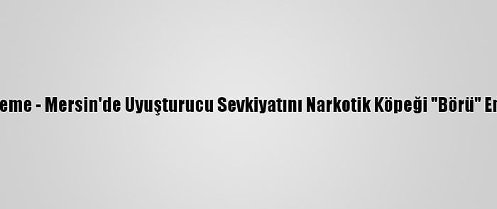 Güncelleme - Mersin'de Uyuşturucu Sevkiyatını Narkotik Köpeği "Börü" Engelledi