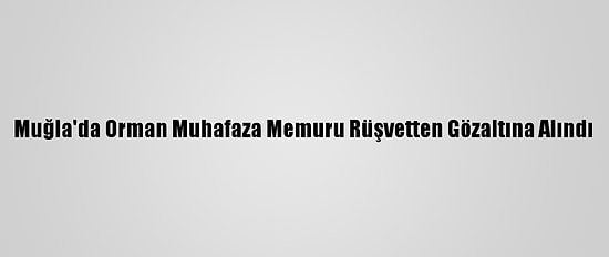 Muğla'da Orman Muhafaza Memuru Rüşvetten Gözaltına Alındı