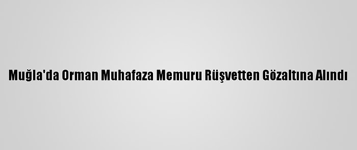 Muğla'da Orman Muhafaza Memuru Rüşvetten Gözaltına Alındı