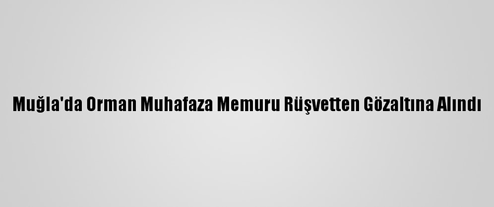 Muğla'da Orman Muhafaza Memuru Rüşvetten Gözaltına Alındı
