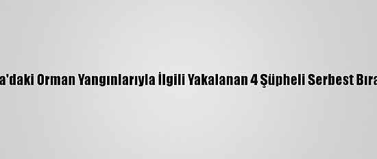 Adana'daki Orman Yangınlarıyla İlgili Yakalanan 4 Şüpheli Serbest Bırakıldı