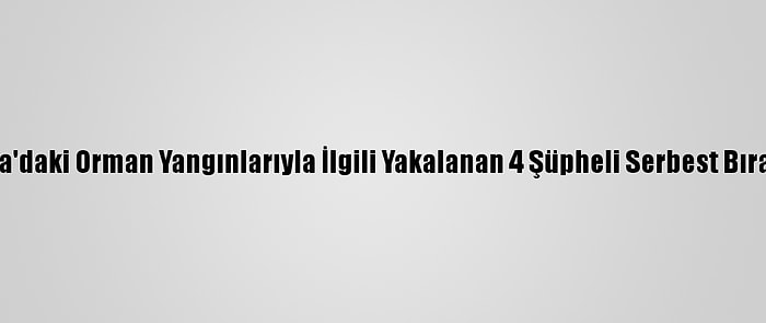 Adana'daki Orman Yangınlarıyla İlgili Yakalanan 4 Şüpheli Serbest Bırakıldı