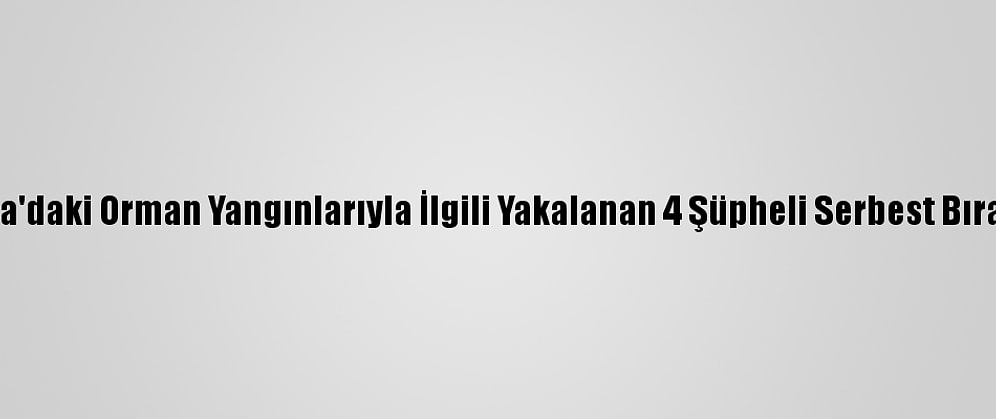 Adana'daki Orman Yangınlarıyla İlgili Yakalanan 4 Şüpheli Serbest Bırakıldı