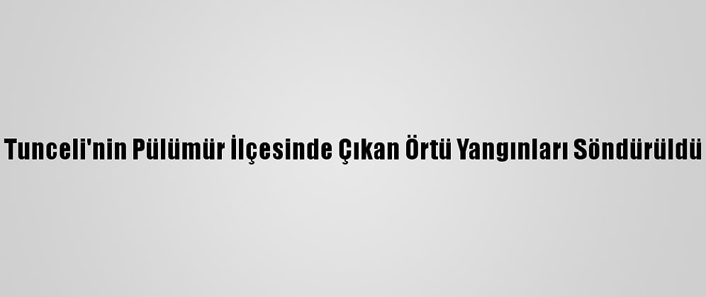 Tunceli'nin Pülümür İlçesinde Çıkan Örtü Yangınları Söndürüldü