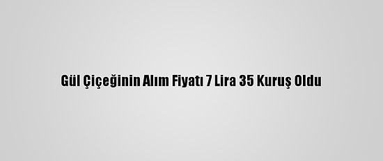 Gül Çiçeğinin Alım Fiyatı 7 Lira 35 Kuruş Oldu
