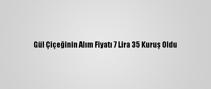 Gül Çiçeğinin Alım Fiyatı 7 Lira 35 Kuruş Oldu