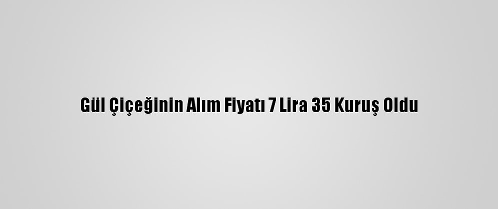 Gül Çiçeğinin Alım Fiyatı 7 Lira 35 Kuruş Oldu