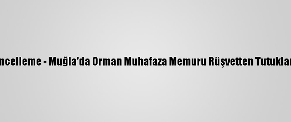 Güncelleme - Muğla'da Orman Muhafaza Memuru Rüşvetten Tutuklandı