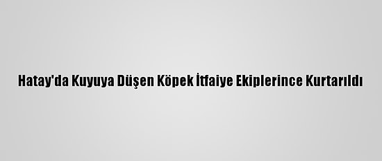 Hatay'da Kuyuya Düşen Köpek İtfaiye Ekiplerince Kurtarıldı