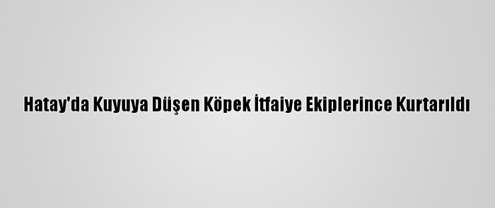 Hatay'da Kuyuya Düşen Köpek İtfaiye Ekiplerince Kurtarıldı