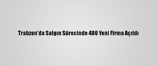 Trabzon'da Salgın Sürecinde 480 Yeni Firma Açıldı