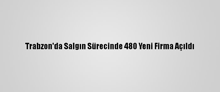 Trabzon'da Salgın Sürecinde 480 Yeni Firma Açıldı