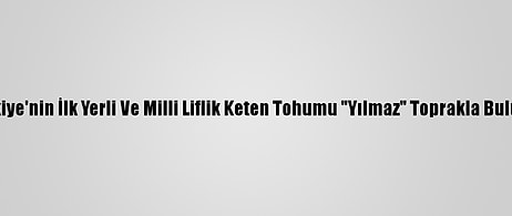 Türkiye'nin İlk Yerli Ve Milli Liflik Keten Tohumu "Yılmaz" Toprakla Buluştu