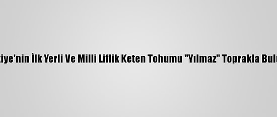 Türkiye'nin İlk Yerli Ve Milli Liflik Keten Tohumu "Yılmaz" Toprakla Buluştu