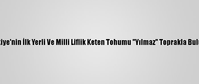 Türkiye'nin İlk Yerli Ve Milli Liflik Keten Tohumu "Yılmaz" Toprakla Buluştu