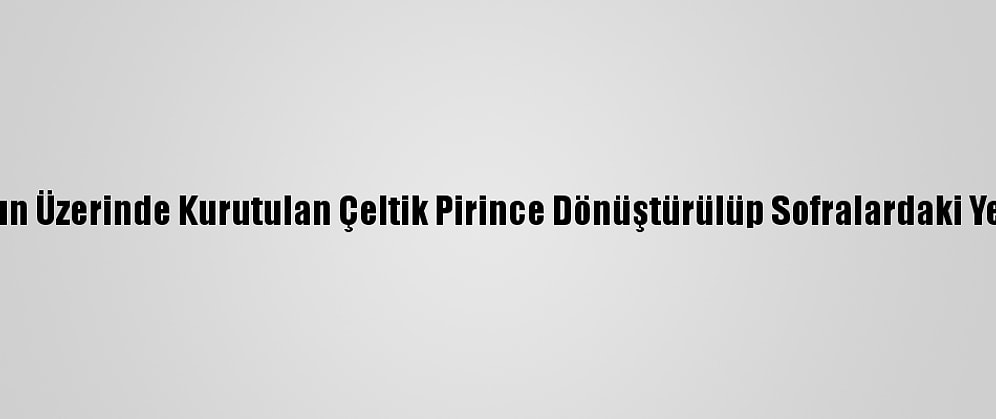 Brandaların Üzerinde Kurutulan Çeltik Pirince Dönüştürülüp Sofralardaki Yerini Alıyor