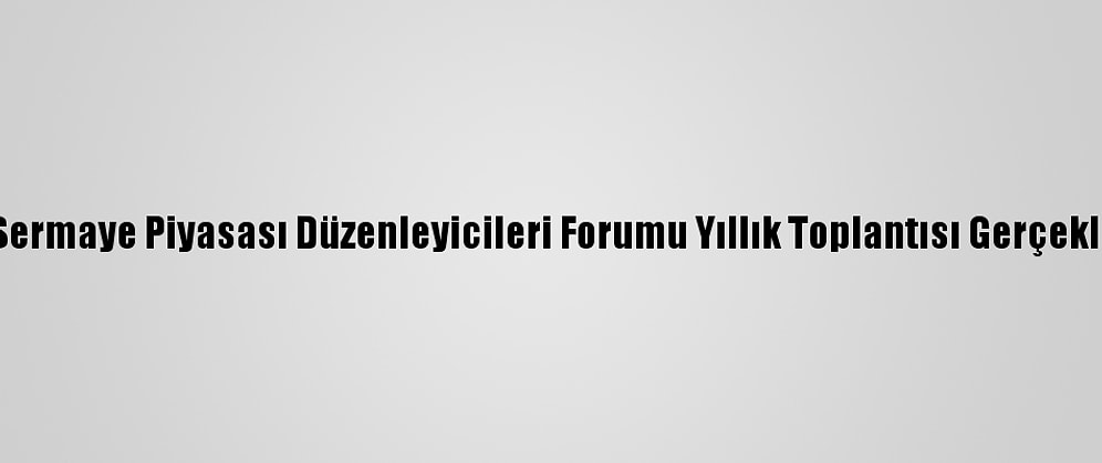 İsedak Sermaye Piyasası Düzenleyicileri Forumu Yıllık Toplantısı Gerçekleştirildi