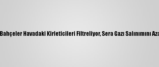 Dikey Bahçeler Havadaki Kirleticileri Filtreliyor, Sera Gazı Salınımını Azaltıyor