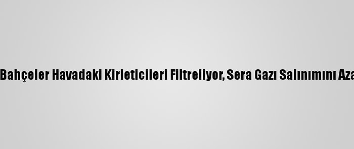 Dikey Bahçeler Havadaki Kirleticileri Filtreliyor, Sera Gazı Salınımını Azaltıyor