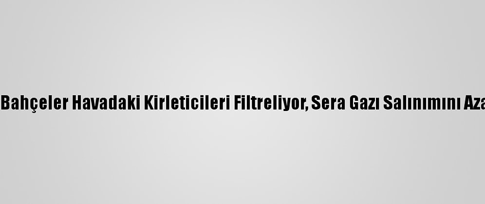 Dikey Bahçeler Havadaki Kirleticileri Filtreliyor, Sera Gazı Salınımını Azaltıyor