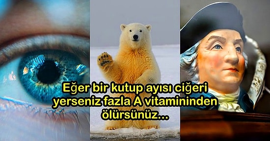 Öğrendikten Sonra Ufkunuzu Onlarca Katına Çıkaracak Birbirinden İlginç 17 Bilgi