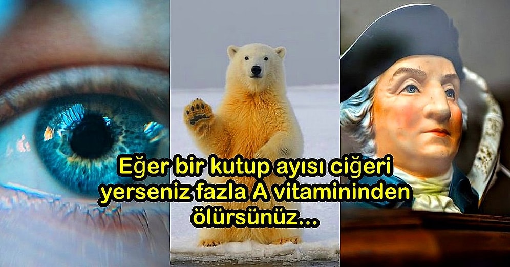 Öğrendikten Sonra Ufkunuzu Onlarca Katına Çıkaracak Birbirinden İlginç 12 Bilgi