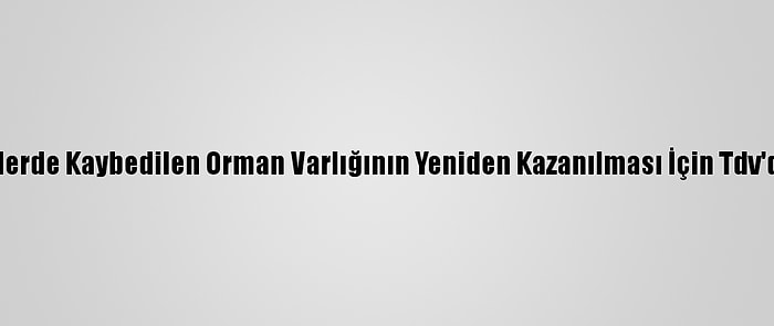 Yangın Ve Afetlerde Kaybedilen Orman Varlığının Yeniden Kazanılması İçin Tdv'den Kampanya