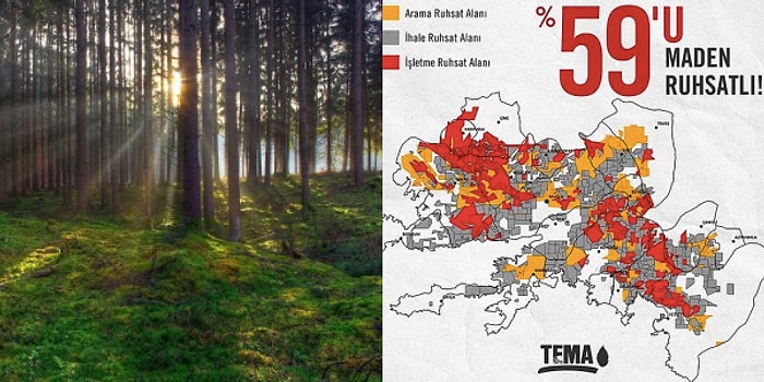 TEMA 'Muğla'yı Nasıl Bir Gelecek Bekliyor?' Diye Sordu: Ormanlık Alanların Yüzde 65'i Maden Ruhsatlıymış...