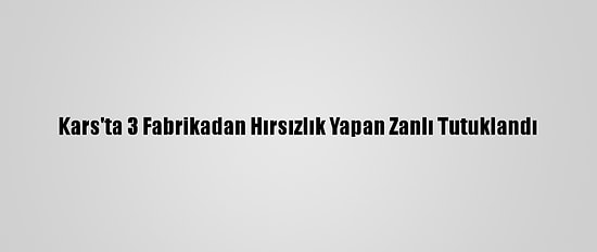 Kars'ta 3 Fabrikadan Hırsızlık Yapan Zanlı Tutuklandı